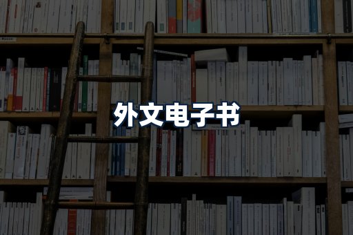 外文电子书